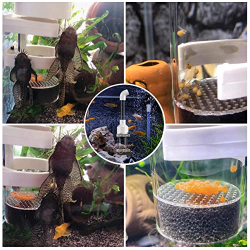 Fish Egg Incubator and Tumbler: Aquarium Cichlid Hatchery with Inbuilt Air Pump - Isolation Breeding Box, Small Fish Net and Tweezer