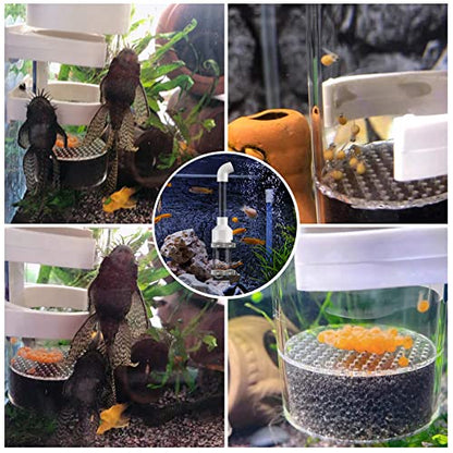 Fish Egg Incubator and Tumbler: Aquarium Cichlid Hatchery with Inbuilt Air Pump - Isolation Breeding Box, Small Fish Net and Tweezer