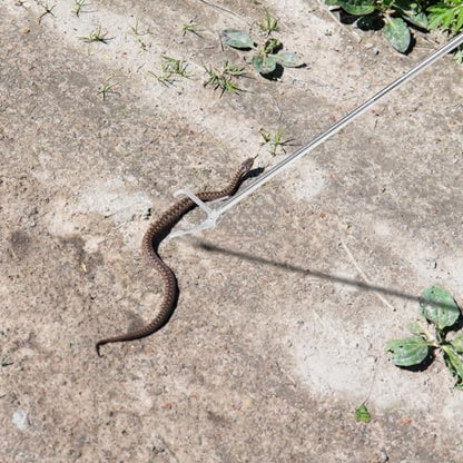 BESPORTBLE Snake Capture Hook Garbage Collector Snake Tong Crab Tools Snake Clips Reptile Tweezers Snake Pole Grabber and Catcher Grabber Tool to Feed Lizard Elder Stainless Steel