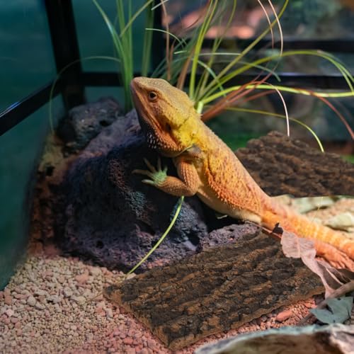 Didiseaon 3 Pcs Cork Bark Terrarium Background Decor, Reptile Tank Climbing Mat Wall Backdrop, Aquarium Fish Ornament for Lizard Gecko Snake Turtle 7.87X4.13X0.59In