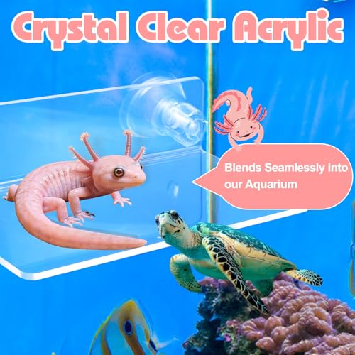Axolotl Hammock Ledge with Feeding Dish, Aquarium Hideout for Axolotl Tank | Axolotls Tank Accessories,Bearded Dragon Tank Accessories