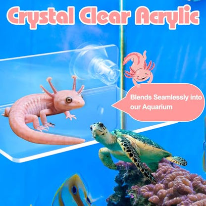 Axolotl Hammock Ledge with Feeding Dish, Aquarium Hideout for Axolotl Tank | Axolotls Tank Accessories,Bearded Dragon Tank Accessories