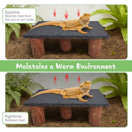 Bearded Dragon Basking Platform 3Pcs Reptile Basking Rocks with Wooden Pile Natural Lizard Hideout 2-in-1 Tortoise Tank Accessories for Leopard Geckos Ball Pythons Turtle (11.81×5.91inches) - size: Medium