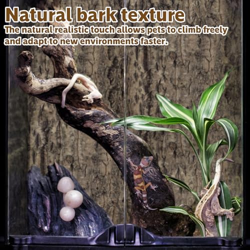 2PCS Cork Terrarium Background 9.84x11.8in Natural Cork Large Bark Backdrop Reptile Climbing Mat Habitat Decor for Spider Lizard Chamelon Turtle Beared Dragon