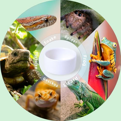 6 Pcs Spider Micro Ceramic Water Bowl, Mini Pet Dish for Spider (1 oz) - size: 1 oz