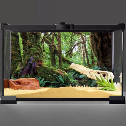 AWERT 48x20 inches Tropical Forest Terrarium Background Green Huge Tree Reptile Habitat Background Rainforest Aquarium Background Durable Polyester Background - size: 48x20in/120x50cm