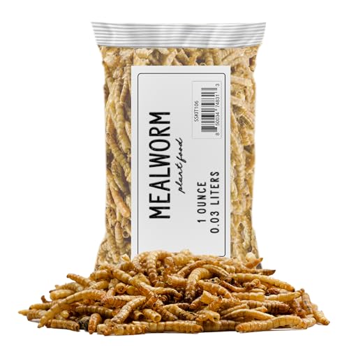 Soil Sunrise Carnivorous Plant Food Dried Mealworms (1oz), for Feeding Carnivorous Plants (Venus Fly Trap, Pitcher Plant, Sundews, Etc.)