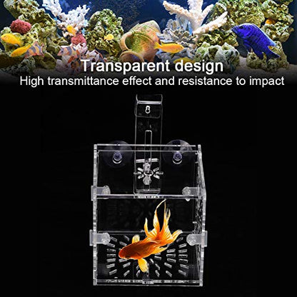 Fish Isolation Breeder Box, Clear Acrylic Breeding Incubator with Divider and Dual Mounting for Aquarium Fish Tank Transparent 3.94 x 3.86 x 3.94 in 1 Pack