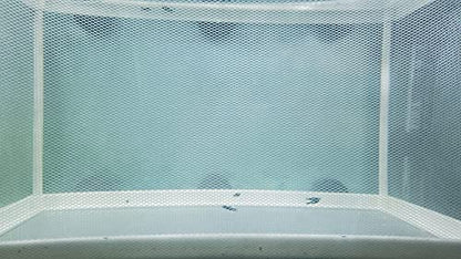 Large Breeder Net for Fish Tank Fish Hatchery Separation Net Mesh Fish Breeding Box with Suction Cup for Aquarium