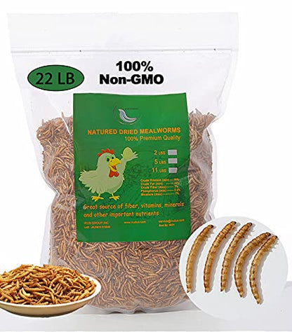 Non-GMO High-Protein Large Dried Mealworms for Chickens, Natural Grubs and Poultry Treats as Chicken Feed,Duck Food, Wild Birds Seed,Fish Food,Reptile Food,Amphibian Food(Mealworms-22LB)