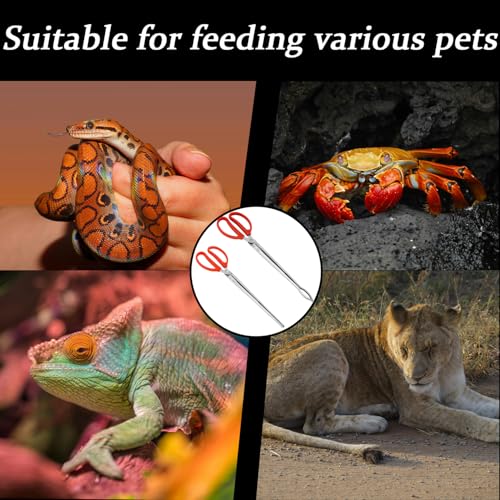 Booge 2 Pcs Stainless Steel Snake Feeding Tongs, 15 Inch Straight and Curved Extra Long Tweezers for Ball Python, Lizards, Bearded Dragon, Gecko