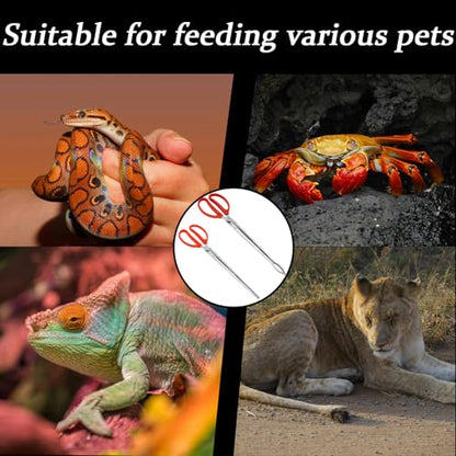 Booge 2 Pcs Stainless Steel Snake Feeding Tongs, 15 Inch Straight and Curved Extra Long Tweezers for Ball Python, Lizards, Bearded Dragon, Gecko