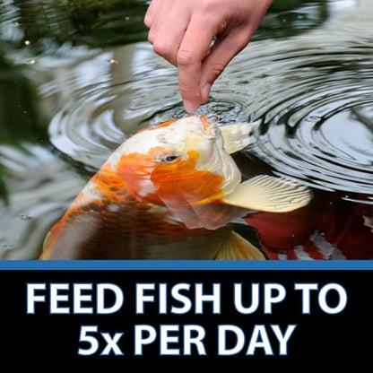 CrystalClear Staple Pond Fish Food for Koi & Goldfish, 2.2 Pound Bag | Protein packed floating pellets for summer nutrition with easy digestion to support healthy growth and vitality - size: 2.2 Pound (Pack of 1)