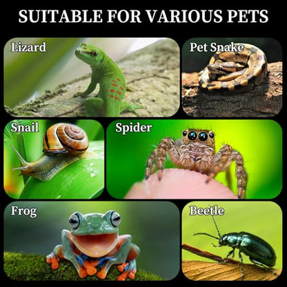 Acrylic Jumping Spider Habitat, Reptile Terrarium Easy Assembly, Bug Enclosure, Praying Mantis Habitat, Frog Enclosure, 9.8 * 5.9 * 5.9in - size: M-9.8*5.9*5.9in-Upgrade
