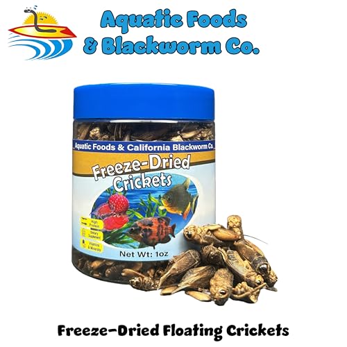 Crickets, Freeze Dried Crickets for Large Tropical Fish, Monster Fish, Reptiles, Turtles, Tortoises, Frogs, Hamsters, Birds, Rodents 3oz Canister - size: 3 Ounce (Pack of 1)