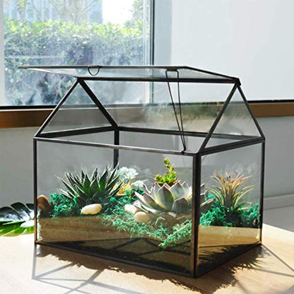 Black 1 Large Glass Plant Terrarium Kit with Lip Greenhouse for Succulents - color: Black 1