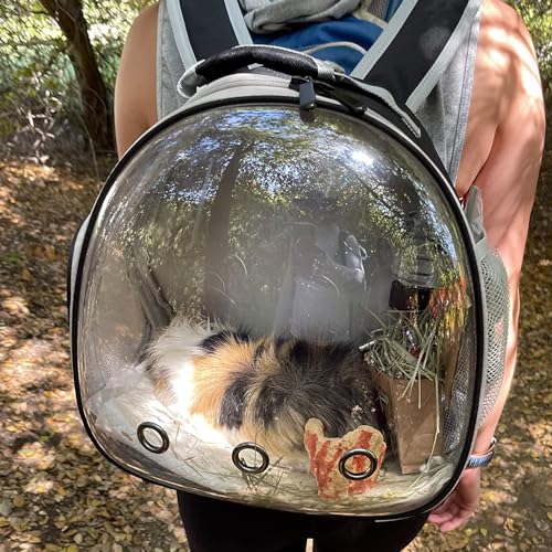 Desert Iguana Backpack Carrier,Bearded Dragon Portable Backpack Carrier with Small Backpack Harness Leash Set,Space Capsule Clear Bubble Window Travel Backpack for Lizard Travel,Guinea Pig,Rabbit - color: Black