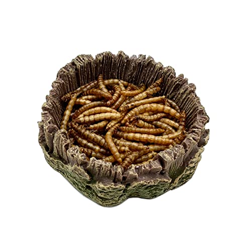 Small Reptile Food Dish, 2 Pack Reptile Feeding Food Bowls for Bearded Dragon Gecko Lizard Frog Hermit Crab Snail Toad - color: 2 PCS Tree Line Small Bowls