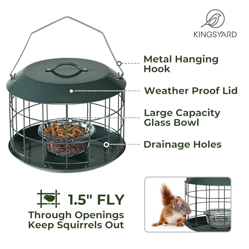 Kingsyard Bluebird Feeders for Outdoors Hanging | Metal Cage Bird Feeder with Tray, Squirrel Proof, for Small wildbirds, Weatherproof, Easy to Refill and Clean, Green - color: Green