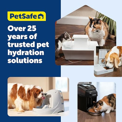 PetSafe Oasys Pet Fountain, 1/2 Gallon, Cats & Small Dogs, 4-Pack Filters | Adjustable Flow Control, Open Bowl, Whisker-Friendly Tray, Replaceable Carbon & Foam Filters Included - style: Fountain + 4-Pack Filters