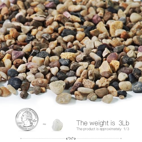 Pebbles for Indoor Plants,River Rocks for Succulent Plants,Aquarium Gravel | 3Lb Decorative Stones Bonsai Garden Pebbles,Succulent Rocks,Small Aquarium Rocks for Landscaping ,Plants,Vase Fillers - color: Brown