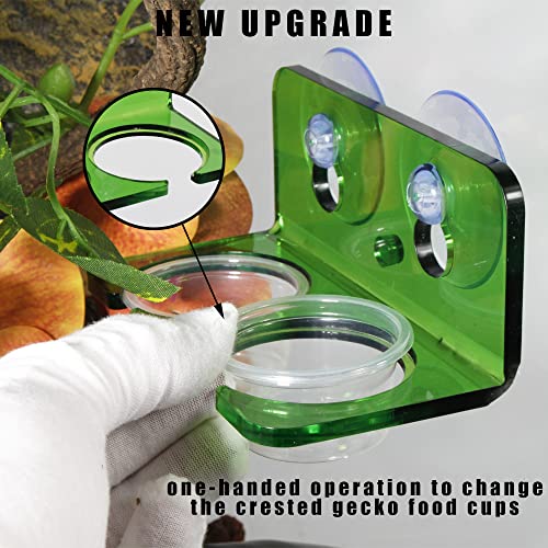 Crested Gecko Feeding Ledge, 10Pcs 0.5oz Reptile Food Water Bowls | Strong Suction Cup Acrylic Feeder, Easy Clean, Fits Leopard Gecko Chameleon Lizard Terrarium Habitat