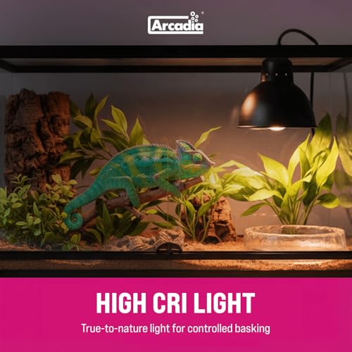 Arcadia D3 EVO UVB Basking Lamp 100W – Mercury Vapor Reptile Heat Lamp Bulbs for Bearded Dragons, Tortoises, Snakes and Turtle Tanks, UVA UVB Infrared Long Lasting Easy to Use Heat Bulb for Reptiles