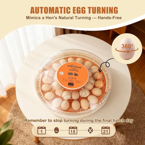 ZEMIRO CHARGE Serie II - 30 Egg Incubator for Experienced Hands-On Hatchers, Auto Egg Turn, Manual Humidity Control (Water Fill), Temperature Control, Real-Time Display, Egg Candler - size: 30-Egg Orange