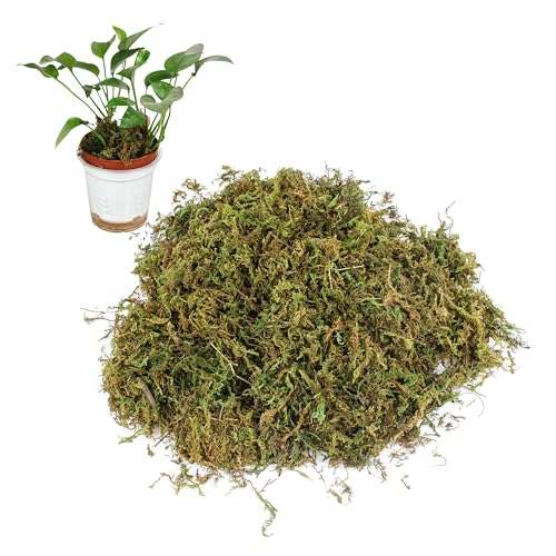 11 OZ Artificial Faux Green Moss for Crafts, Decorative Fake Moss Plant | Artificial Moss for Crafts, 11 OZ, Faux GreenDecorating Plants Indoor, Pot Filler for Artificial Plants
