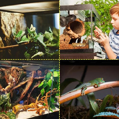 18"x18"x24" Reptile Terrarium, Aluminum-Frame Glass Vivarium for Small Arboreal Reptiles Such as Small Chameleons, with Lock, Cable Port, Waterproof Deep Base