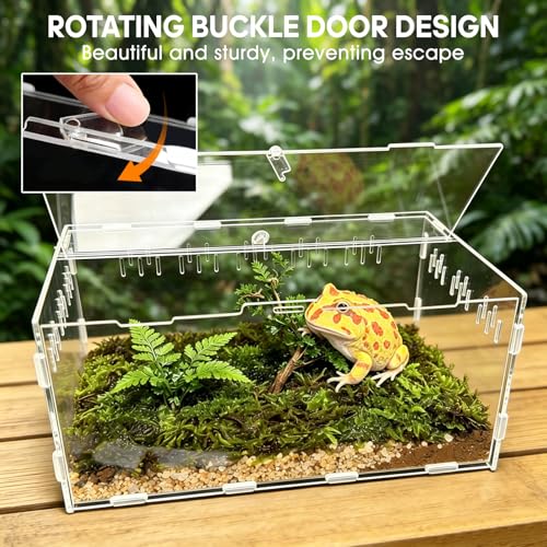 Jumping Spider Enclosure, Insect Terrarium, Bug Cage, Acrylic Terrarium for Tarantula, Snail, Praying Mantis, Frog, and Small Reptiles, Includes Tweezer and Bowl, (11.8" x 7.8" x 5.9") - size: 11.8" x 7.8" x 5.9"