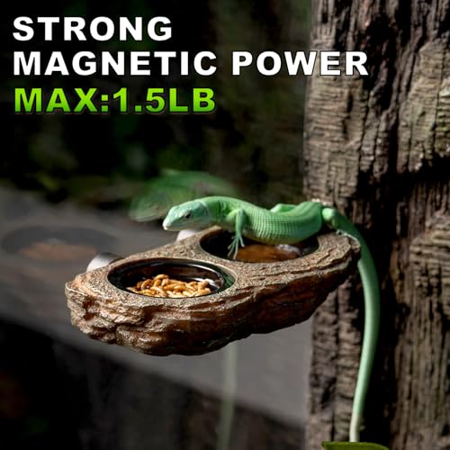 Magnetic Reptile Feeder Ledge, Crested Gecko Feeding Ledge with 6PCS Food Cups Reptile Food Dish Water Bowl Tank Accessories for Bearded Dragon Chameleon Lizard Snake - size: Large