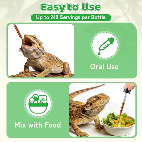 Herbal Supplement for Reptiles – Immune, Respiratory, Appetite & Digestion Support – For Bearded Dragon, Ball Python, Iguana & Tortoise – Alcohol-Free Liquid Drops with Black Seed Oil – 2 fl oz