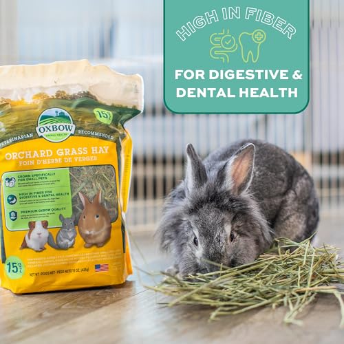 Oxbow Orchard Grass Hay, Rabbit & Guinea Pig Hay, High Fiber for Digestive Health, Grown in the USA, Veterinarian Recommended Small Pet Supplies, for Rabbits, Guinea Pigs, & Chinchillas, 15 oz. | Hand-Sorted, De-Dusted, Oxbow Orchard Grass Hay, Bunny Hay