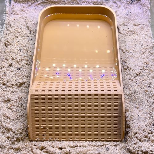 Hermit Crab Watering Pool | Platform Pool Accessory with Access Ramp for Hermit Crabs | 6.5" x 4" | Made in USA (Fresh Only, Tan) - color: Fresh Only, Tan