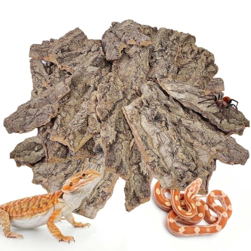 BNOSDM Reptiles Cork Bark Substrate,0.7lb Bearded Dragon Champagne Cork Bark Flats Hide Climbing,Reptiles Wood Bedding Terrarium Decor Tank Accessories for Lizards Snake Gecko Tarantula Isopods（M） - size: 0.7LB - M：3.93~5.9inch