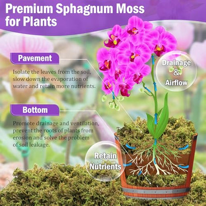 Riare 3.3LB Premium Sphagnum Moss for Plants- 60QT Natural Dried Plant Moss | Moisture Retention & Drainage Orchid Moss for Repotting, Succulents, Carnivorous, Ferns, Green Moss for DIY Craft, Reptiles - size: 60 QT(Appx.3.3lbs)
