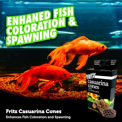 Fritz Aquatics Betta Botanicals for Betta and Community Fish Aquariums (Casuarina Cones - 20ct)