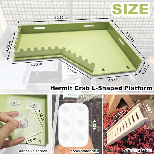 Hermit Crab Accessories - Platform with Ladder and Food Dish, Hermit Crab Climbing Toys, Habitat Supplies and Tank Accessories for Reptiles, Hamsters, Geckos, Small Lizards - color: Green