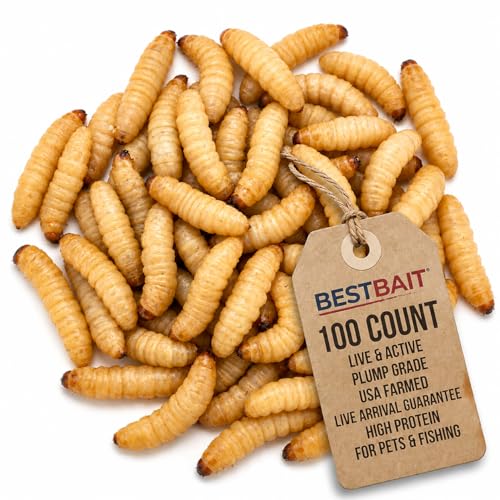 100 Count Premium Live Waxworms for Reptiles, Birds, Amphibians & Fishing Bait - High-Protein, Calcium-Rich Soft-Bodied Larvae - Ideal for Bearded Dragons, Geckos, Chickens & Trout