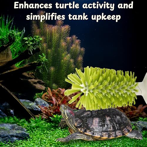 Turtle Brush with Suction Cup & Feeding Ring, 2-Piece Cleaning & Feeding Set (Green) - color: Green
