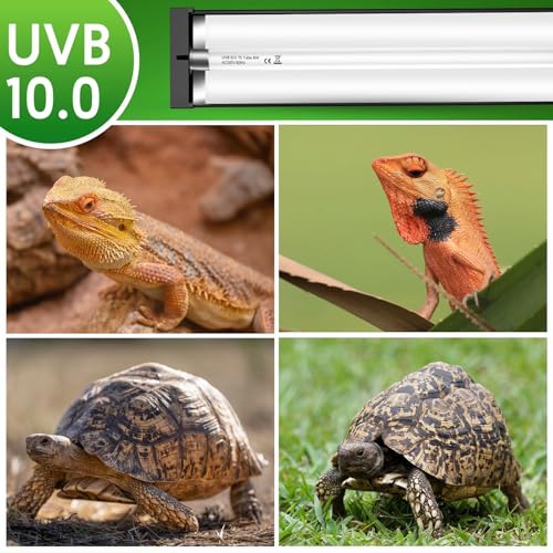 QZQ T5 UVB Reptile Light Fixture Combo Kit 24W, 10.0 UVB Light for Reptiles, Terrarium Hood Comes with Desert Reptile Lamp for Bearded Dragon, Gecko, Tortoise, Lizard - size: 24W-10.0-22.7IN
