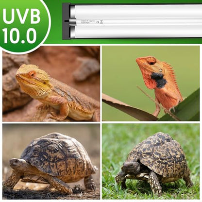 QZQ T5 UVB Reptile Light Fixture Combo Kit 24W, 10.0 UVB Light for Reptiles, Terrarium Hood Comes with Desert Reptile Lamp for Bearded Dragon, Gecko, Tortoise, Lizard - size: 24W-10.0-22.7IN