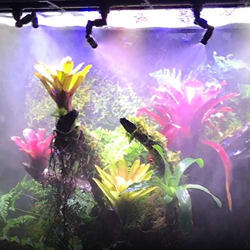 Terrarium Fogger, Dual Head Misting Spray Nozzles Mist Sprinkler Reptile Fogger Reptiles Fogger Mist Sprinkler for Rainforest Tank