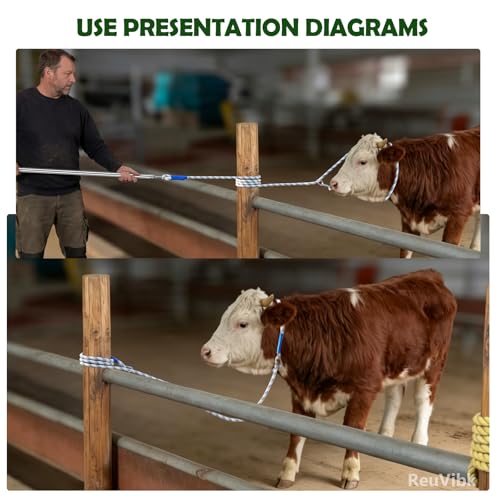 304 Stainless Steel Cattle Horse Catching Pole, Calf Catcher Length Can Be Adjusted Freely 44"48"59"63"75", for Cattle, Horse, Donkey Large Animal Control Pole