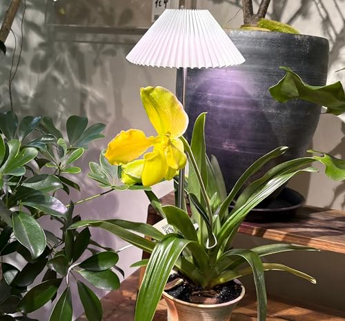 MiniSun Deco Origami Style Ground Stake LED Plant Grow Light, Full Spectrum with Adjustable Brightness, Space-Saving Design for Indoor Plants, 1 Pack (Light for Plant Growth) - style: Soil plug 1pack