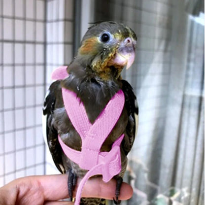 3pcs Parrot Flying Harness Leash Suit Pet Bird Outdoor Flight Training Rope Cockatiel Supplies Macaw Accessories Stuff for Budgie
