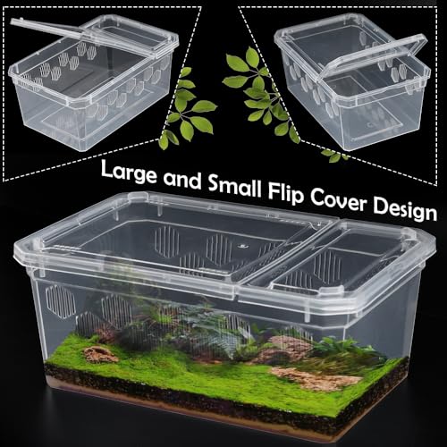 6 Pack Reptile Feeding Box Breeding Box Transparent Hatching Container Plastic Feeding Box for Small Reptiles Amphibians Spiders Scorpions Geckos Tortoises Treefrogs (Small Size)