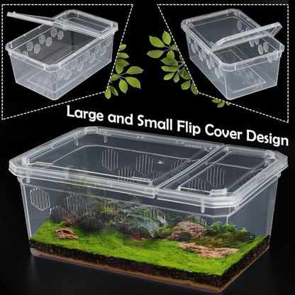 6 Pack Reptile Feeding Box Breeding Box Transparent Hatching Container Plastic Feeding Box for Small Reptiles Amphibians Spiders Scorpions Geckos Tortoises Treefrogs (Small Size)