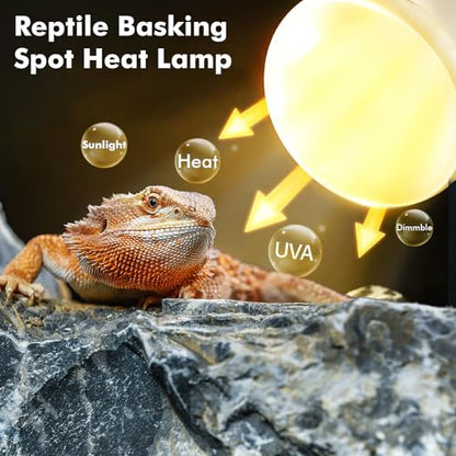 Reptile Heat Lamp, 100W Heat Lamp Bulbs for Reptiles 2 Pack, Amphibians Basking Heat Lamp Bulbs, UVA Daylight Basking Light for Reptiles, Bearded Dragon, Lizard, Turtle, Chicken